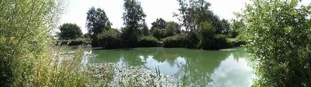 A calm pond surrounded by lush greenery and trees.