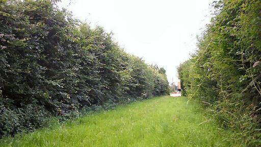 Footpath to Tittleshall This path leads between high hedges towards High House Farm on the southern edge of the village of Tittleshall.