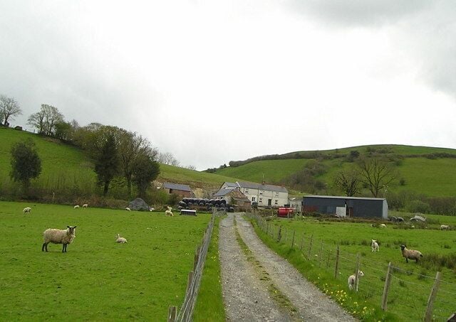 Traditional Welsh Farm Here is a typical cluster of old and new farm buildings, with sheep and lambs grazing in the fields. It is the end of April and there are not many leaves on the trees and hedgerows. The farmer still has a large quantity of baled silage which he is not likely to need now that the grass has begun to grow.