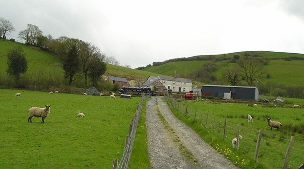 Traditional Welsh Farm Here is a typical cluster of old and new farm buildings, with sheep and lambs grazing in the fields. It is the end of April and there are not many leaves on the trees and hedgerows. The farmer still has a large quantity of baled silage which he is not likely to need now that the grass has begun to grow.