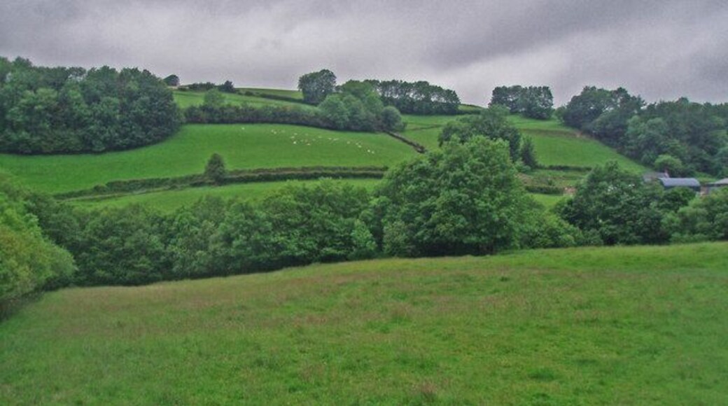 Sloping fields and small woodlands