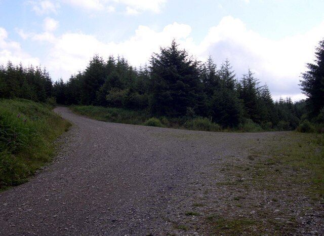 Junction in Brechfa Forest