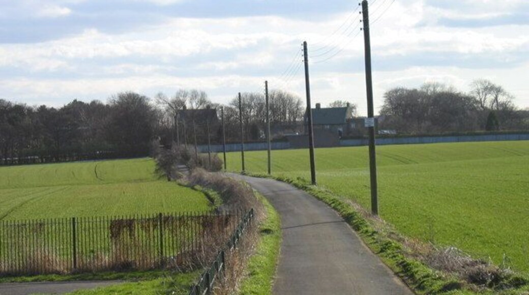 Mundles Lane, Boldon.