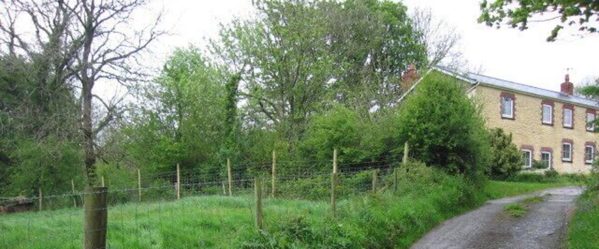 A narrow rural road flanked by green fields and a wooden fence.