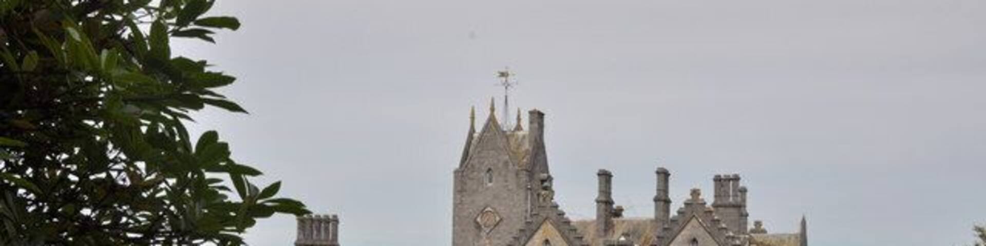 View of the mansion house - Gelli Aur Country Park