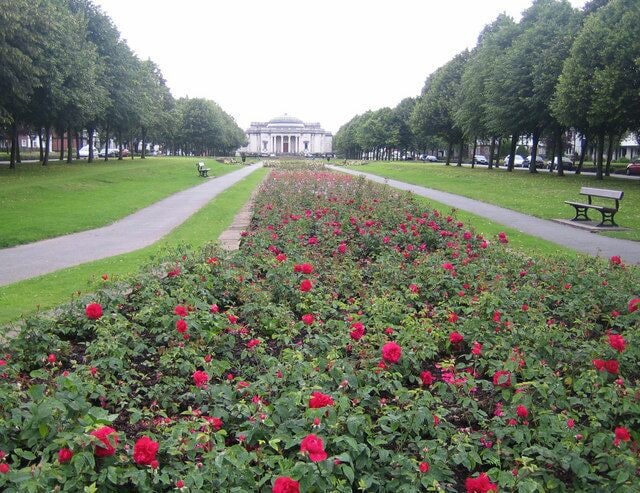 Um parque com uma fileira de rosas vermelhas, um caminho e um edifício ao fundo.