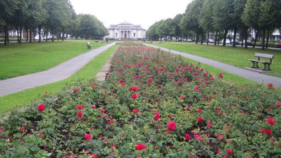 A park with a row of red roses, a pathway, and a building in the background.