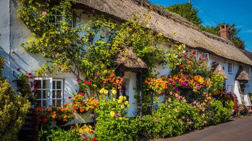 A white building with a thatched roof, covered in colorful flowers and climbing plants.