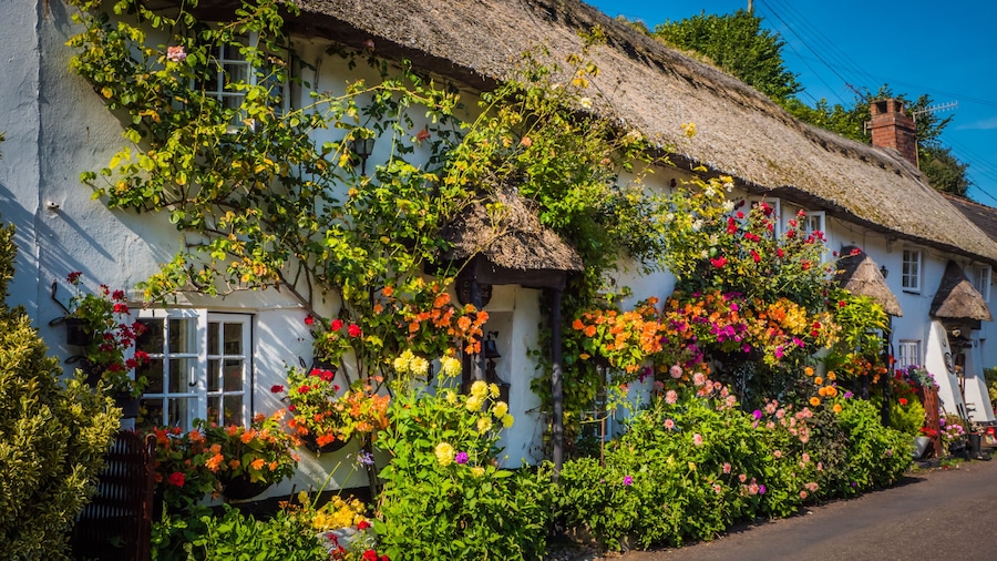 A white building with a thatched roof, covered in colorful flowers and climbing plants.