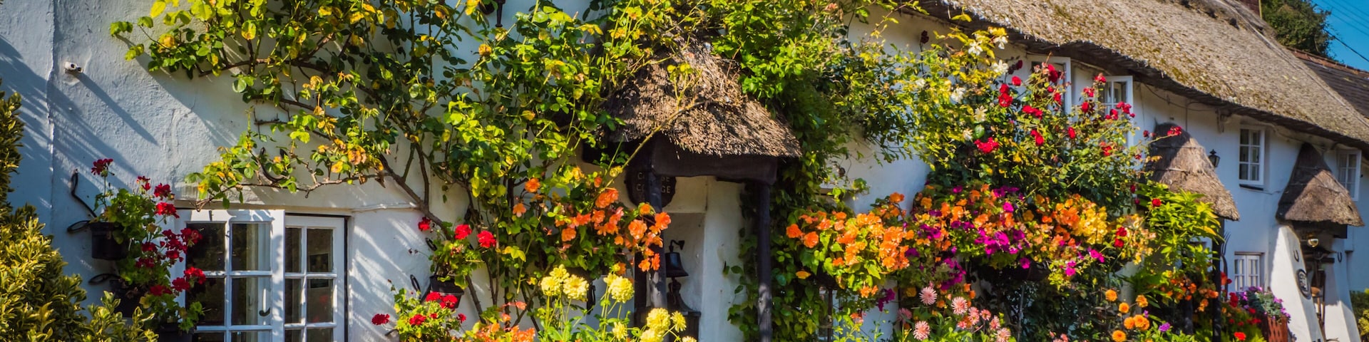 Un edificio blanco con techo de paja, cubierto de flores coloridas y plantas trepadoras.