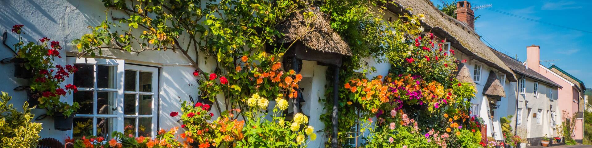 Cute old English house with a thatched roof and flowers in a green hilly landscape on a summer sunny day with blue sky in the UK in a holiday Dorset countryside between Sidmouth and Lyme Regis.