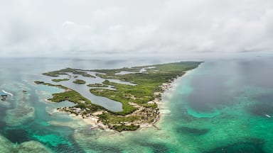 Aerial view of Tintipan Island's bays and peninsulas