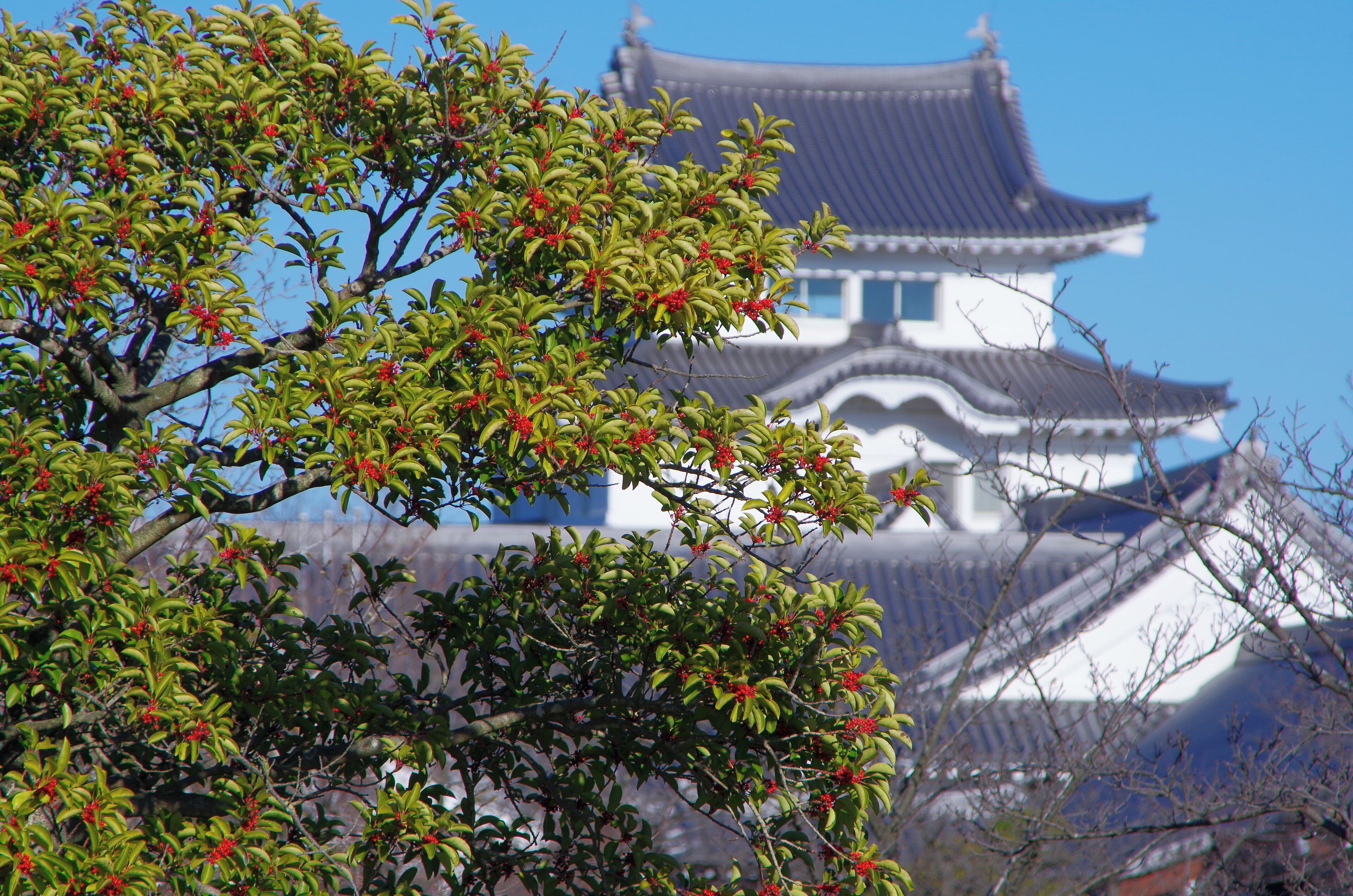 関宿城博物館にて 2015.1.03