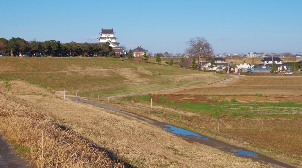 éąćźżććç©é€š æšĄæŹć€©ćź 2015.1.03