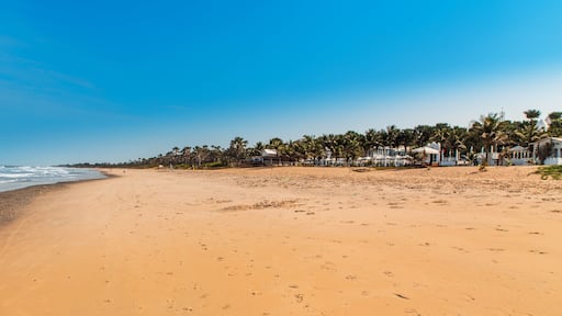 West Africa Gambia Banjul Serrekunda - view of the Paradise beach