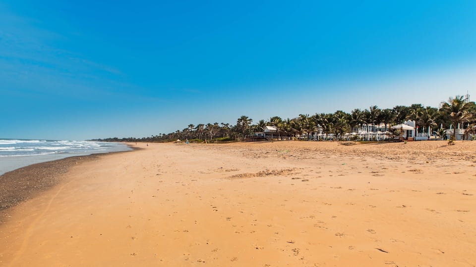 A sandy beach with footprints, a clear blue sky, and palm trees.