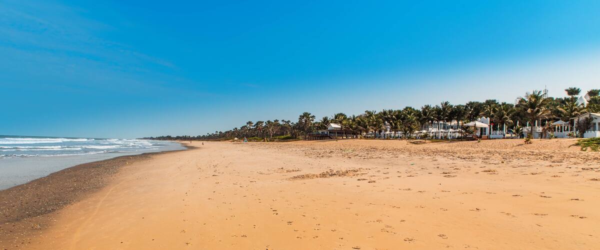 A sandy beach with footprints, a clear blue sky, and palm trees.