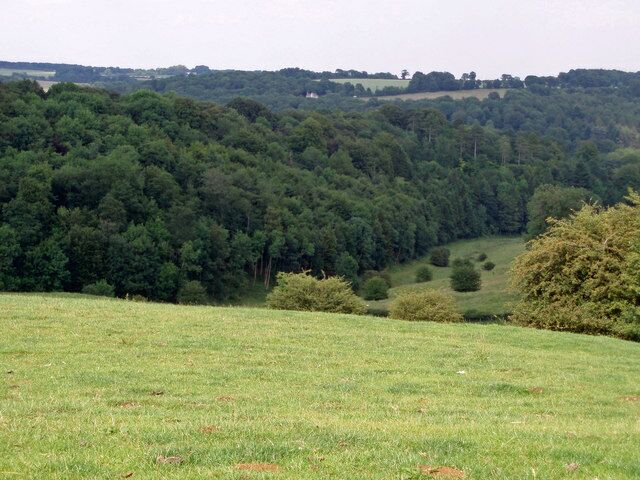 Furze Wood. A small stream runs alongside Furze wood and eventually joins the river Frome at the bottom of the valley. Taken from a footpath to the north of Miserden.
