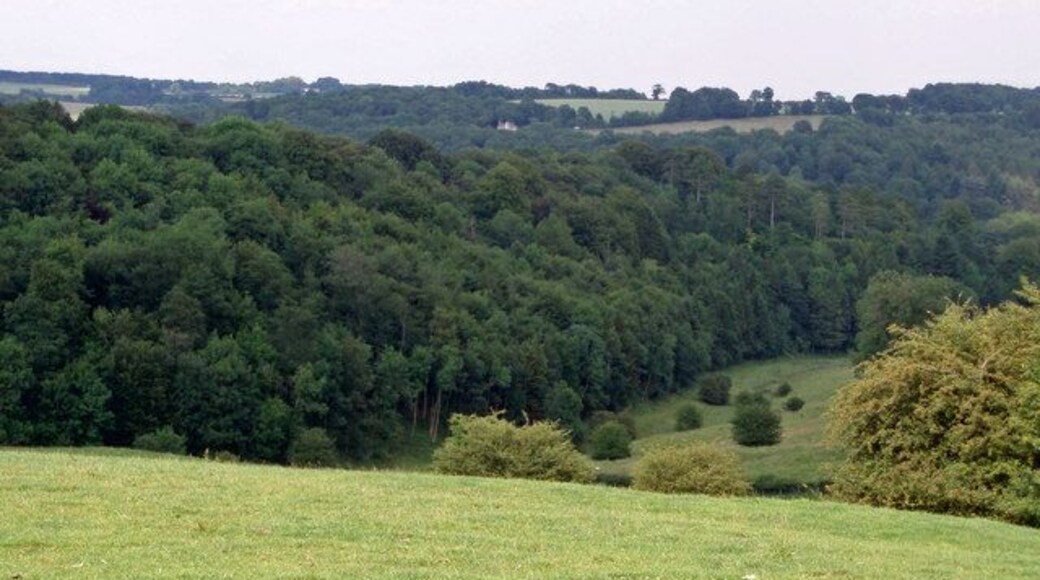 Furze Wood. A small stream runs alongside Furze wood and eventually joins the river Frome at the bottom of the valley. Taken from a footpath to the north of Miserden.