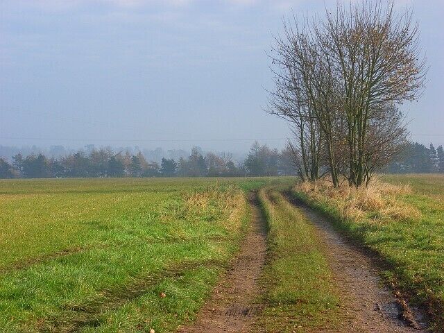 Track near Sudgrove The public footpath heading east from the road junction at Sudgrove. Sandy Flats Plantation is on the flank of the Frome valley and in the next grid-square.