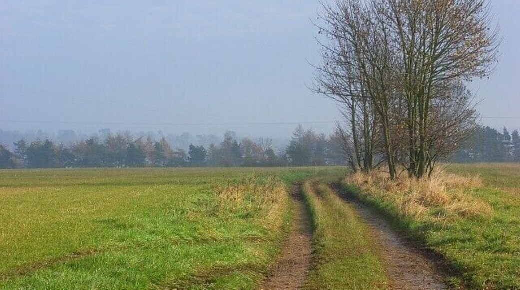 Track near Sudgrove The public footpath heading east from the road junction at Sudgrove. Sandy Flats Plantation is on the flank of the Frome valley and in the next grid-square.