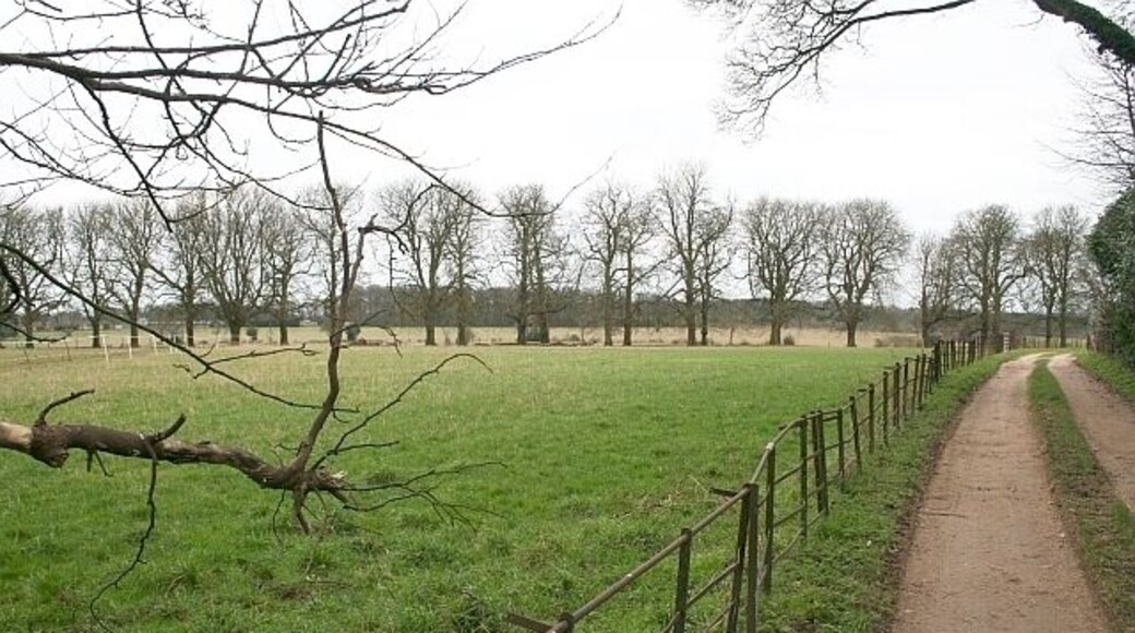 Sudgrove Drive way to Sudgrove House with an avenue of trees following a public footpath.