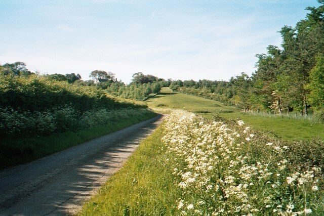 Lane by Potter's Hill. Potter's Hill is the house visible on the skyline, centre-left. The sharp left turn in the road is the starting point for a path that runs north-east to Leafield 43780.
