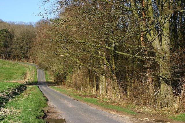 Wychwood Forest at Hatching Hill The narrow road from Leafield to Charlbury winds past the Wychwood Forest at Hatching Hill.