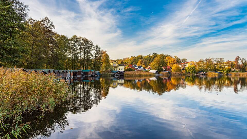 A calm lake with reflections of houses and trees, surrounded by a forest and a clear sky.