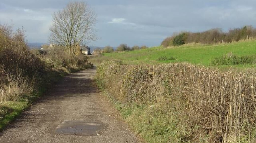 Bridleway from Swingate to Babbington This is also the access to Grasscroft Farm which can be seen behind the tree.