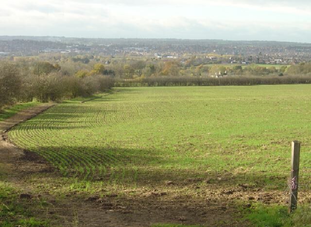 Countryside near Babbington Walkers to Babbington have the choice of a direct footpath across the fields or the surfaced bridleway which is a little longer.