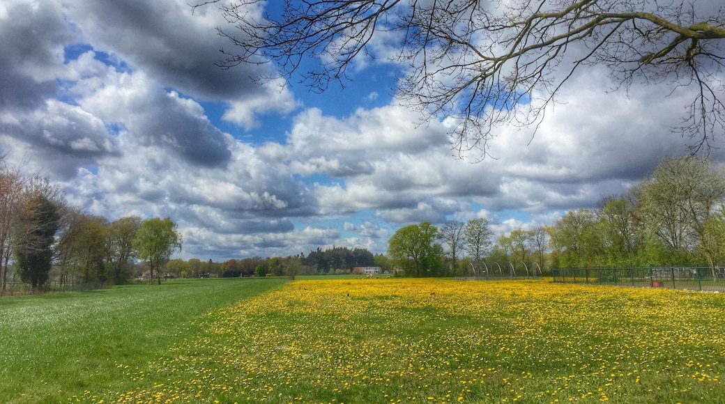 Spring in Bladel,the Netherlands