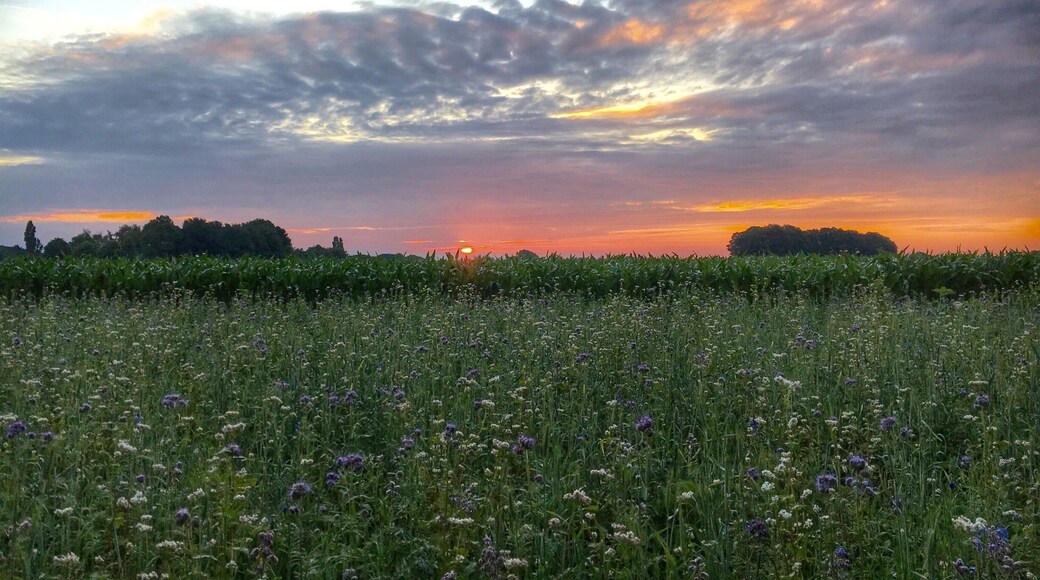 Sunrise in Bladel,the Netherlands
