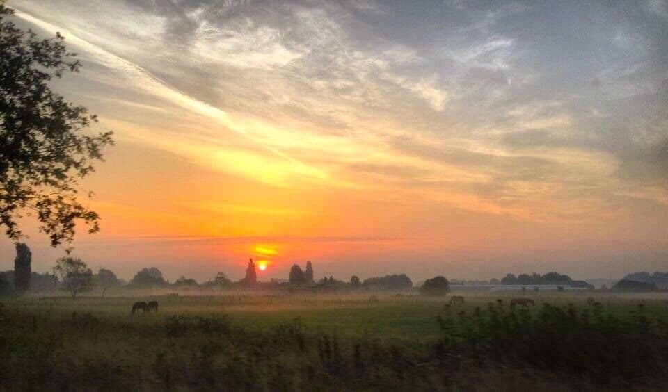 Um pôr do sol sobre uma paisagem rural com cavalos pastando e árvores ao longe.