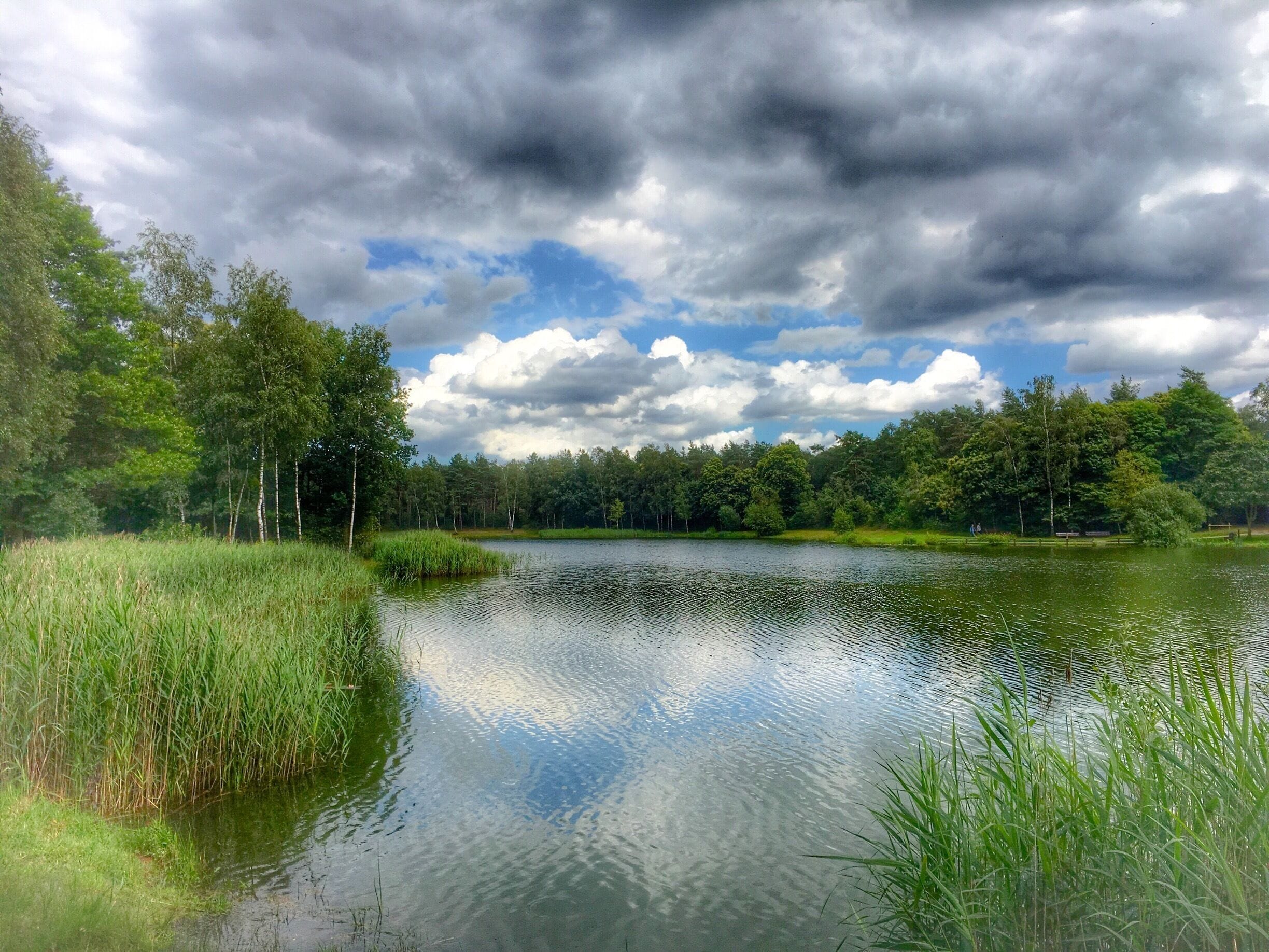 The 'Neerven',a small fish lake in Bladel,NL