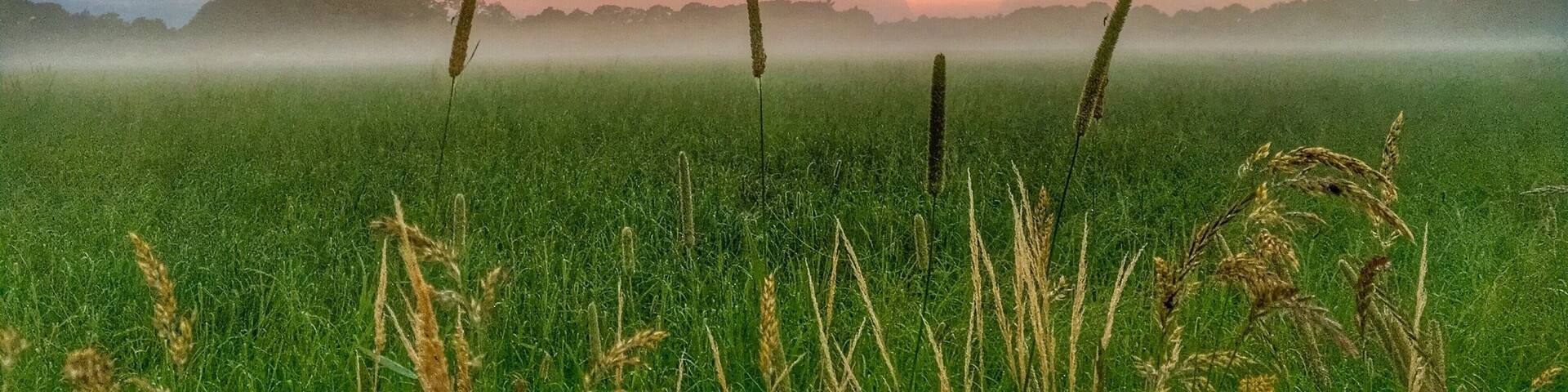 Sunrise in Bladel,the Netherlands