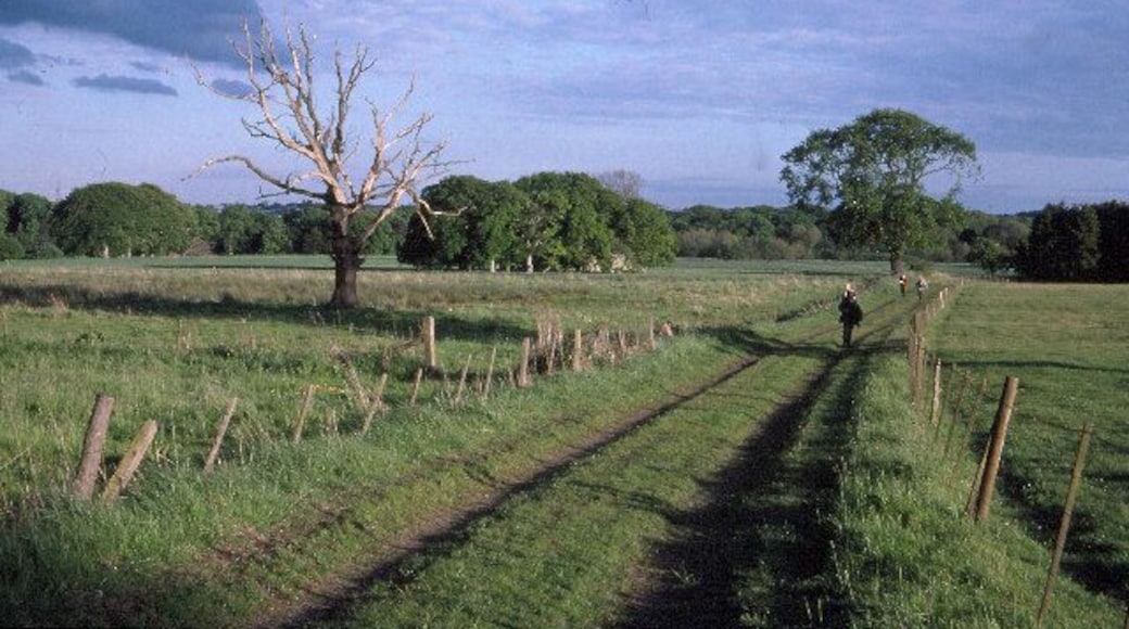 Woolsington Park Looking south from near to the Hall.