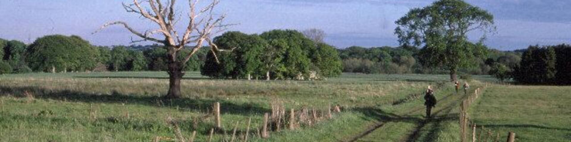 Woolsington Park Looking south from near to the Hall.