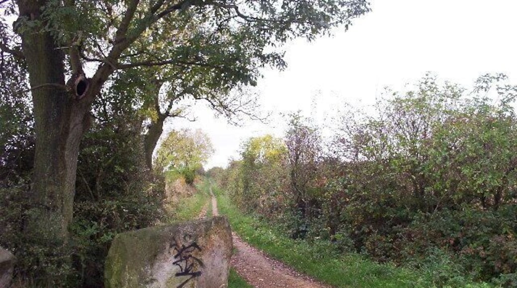Black Lane. Despite the generally bucolic appearance, the graffiti on the stone betrays the fact that this footpath is actually on the northern edge of a large housing estate.