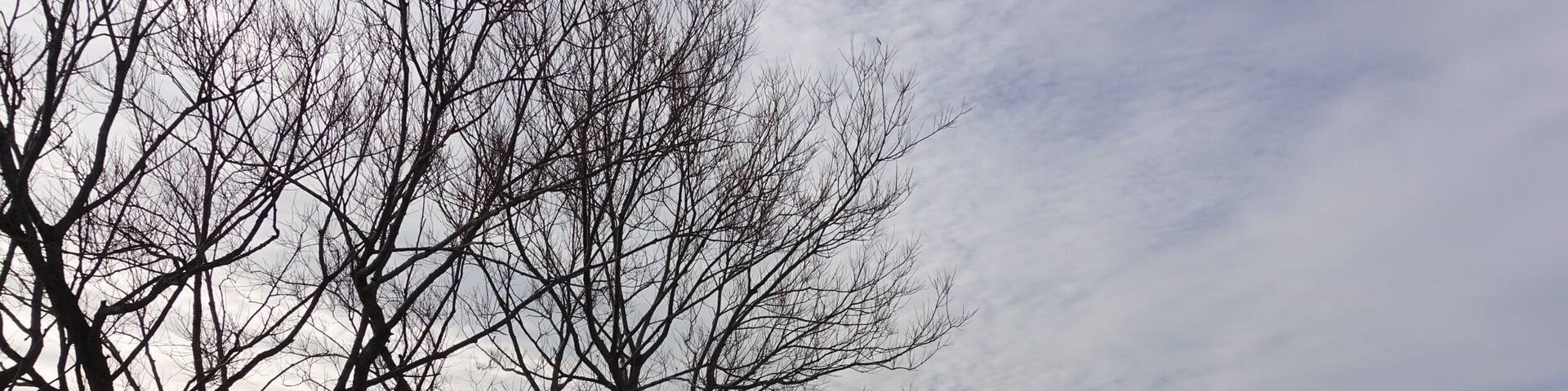 On Lake Erie is always a special mood !