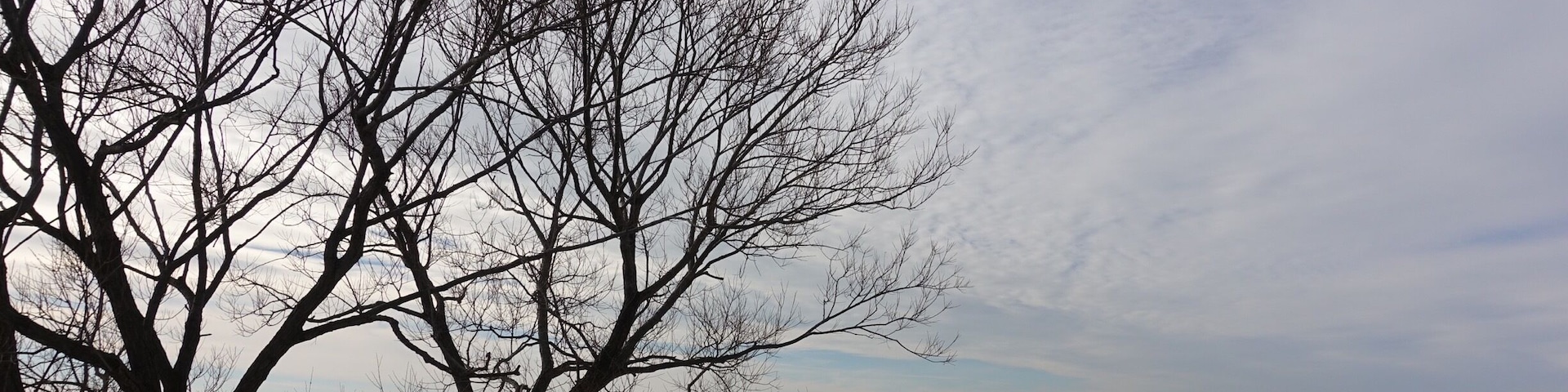 On Lake Erie is always a special mood !