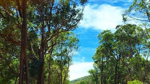 This was a road along the way to Serpentine Falls. You can see the very much ubiquitous kangaroo road sign in this shot.