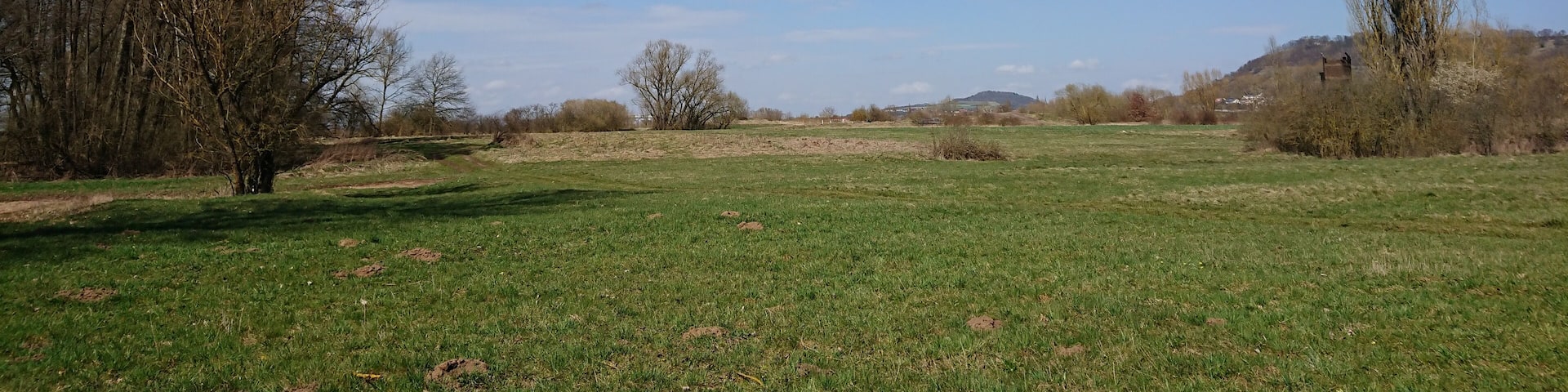 (NSG:BY-NSG-00408.01)_Altmain und Sandmagerrasen bei Limbach