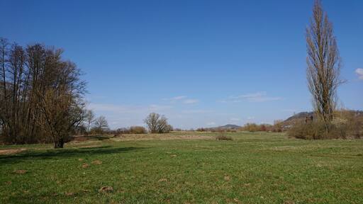 (NSG:BY-NSG-00408.01)_Altmain und Sandmagerrasen bei Limbach