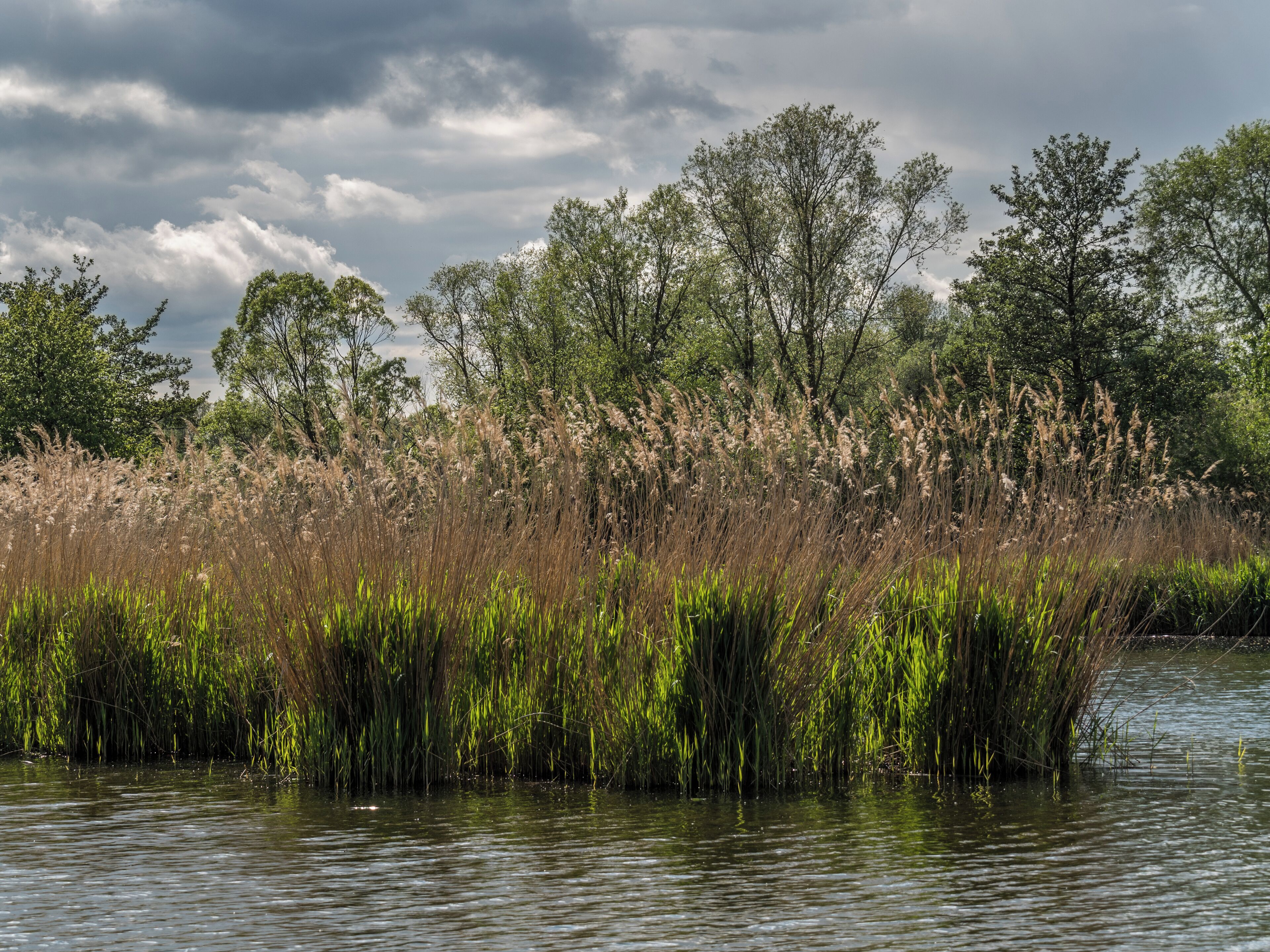 FFH Area Mainaue bei Augsfeld