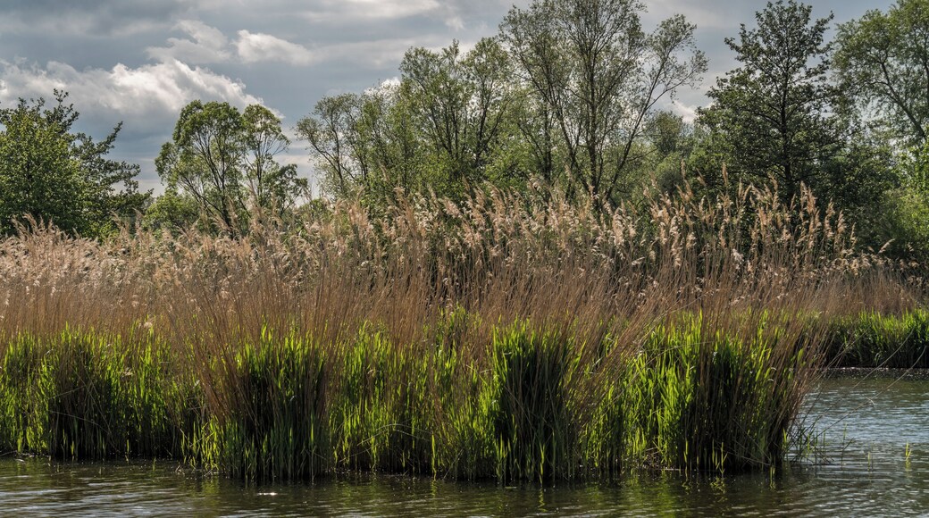 FFH Area Mainaue bei Augsfeld