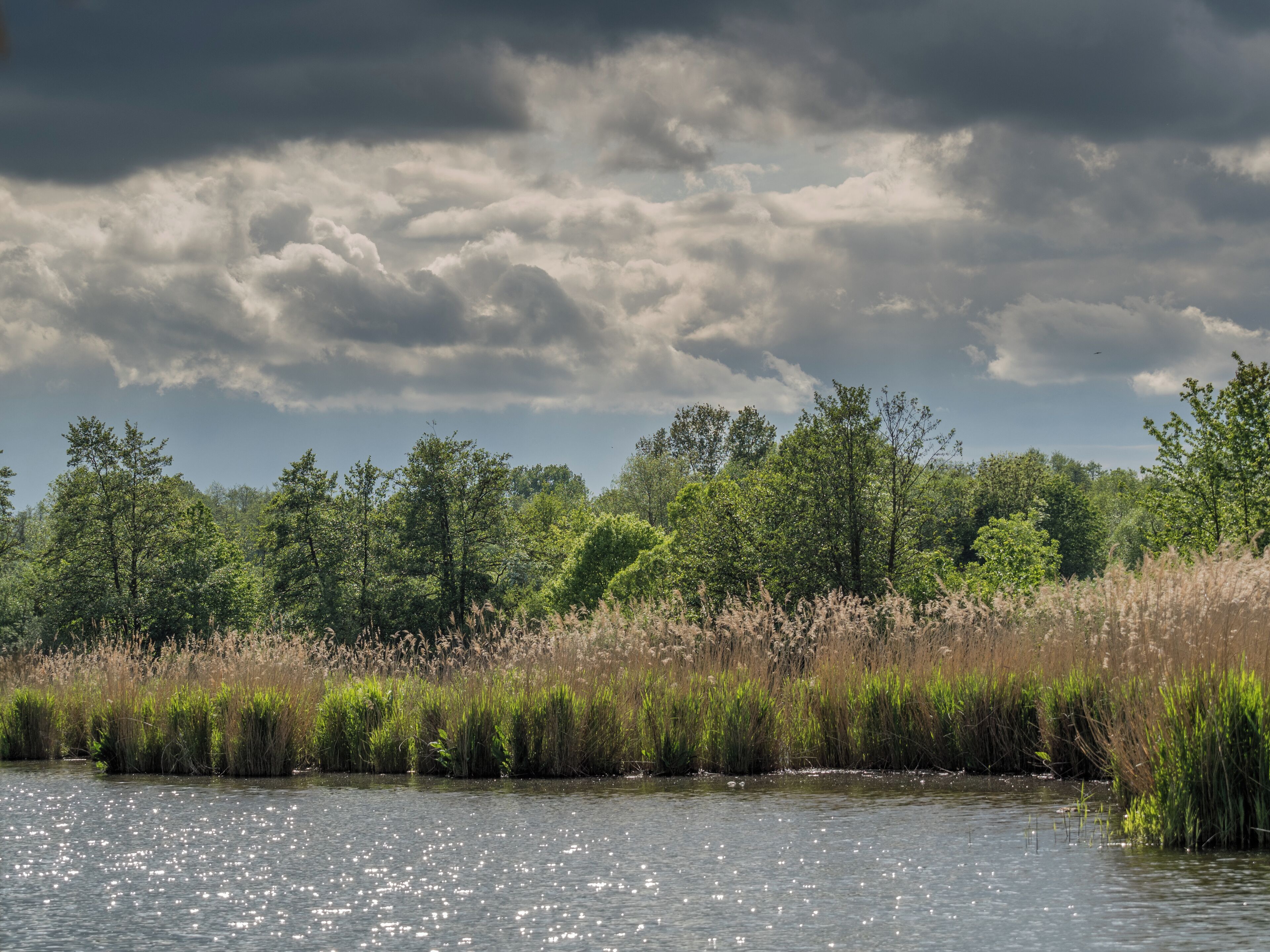 FFH Area Mainaue bei Augsfeld