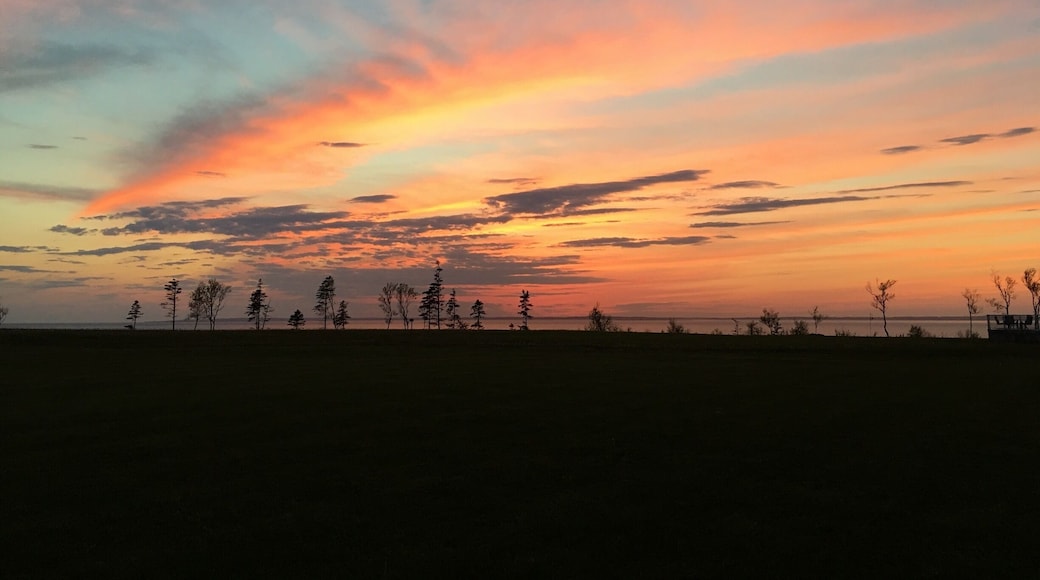 Great evening, awesome sky