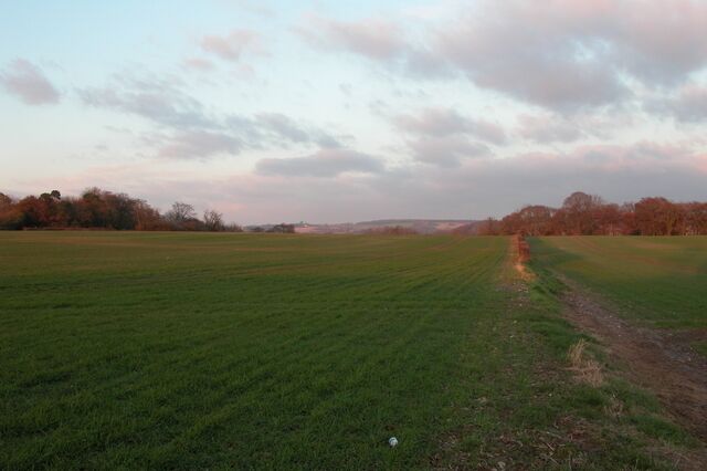 A grassy field with a dirt path leading through it.