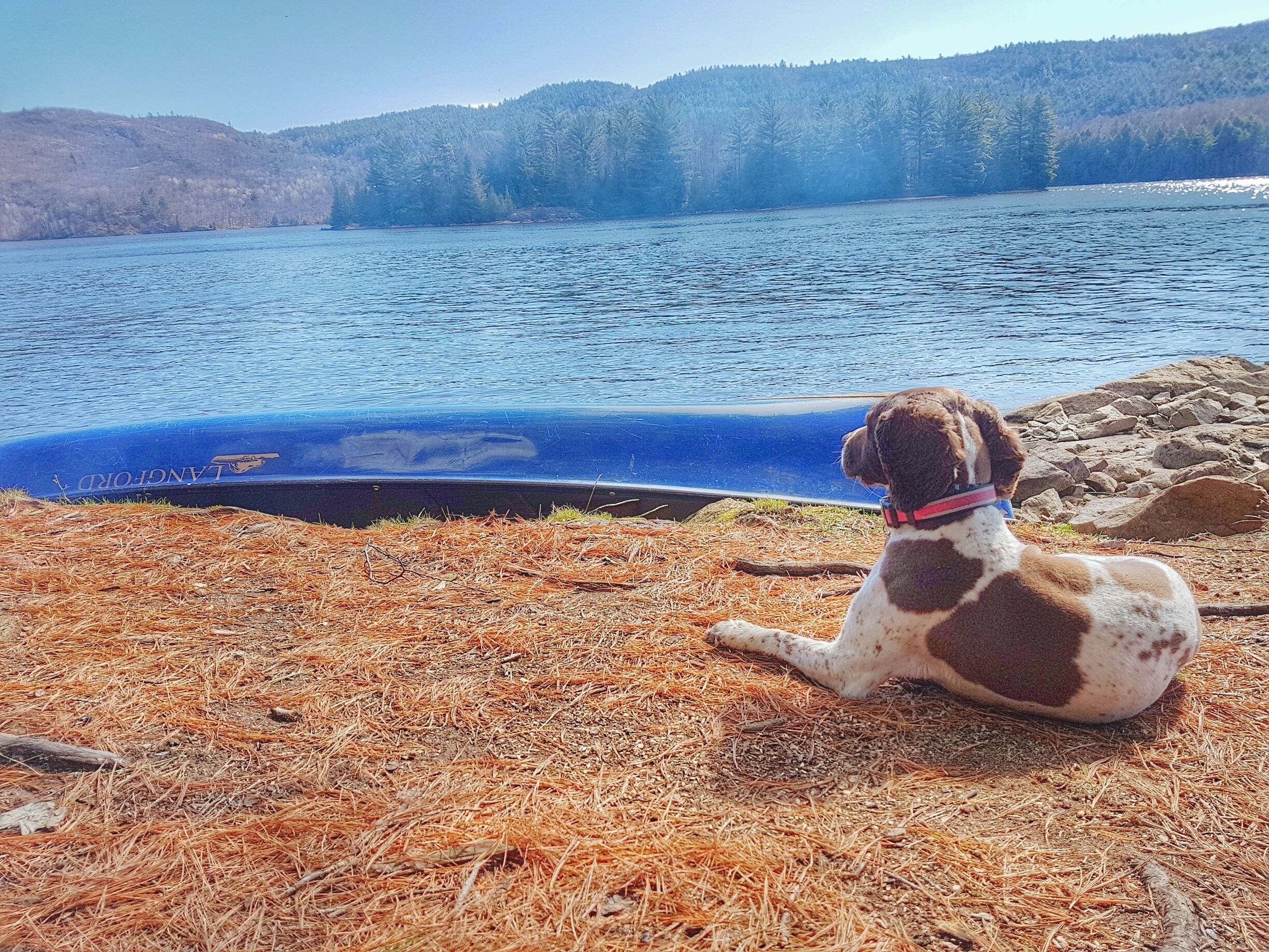 Found a nice new spot foe canoe camping on crown land.  Find that these spots are getting harder and harder to find!

We spotted a few different potential camping spots around this area. We lucked out and had the entire island to ourselves, including a mini-beach area (dis NOT venture foe a swim since the river was still frozen only a few weeks ago.)